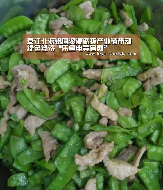綦江北渡铝园资源循环产业链带动绿色经济“乐鱼电竞官网”