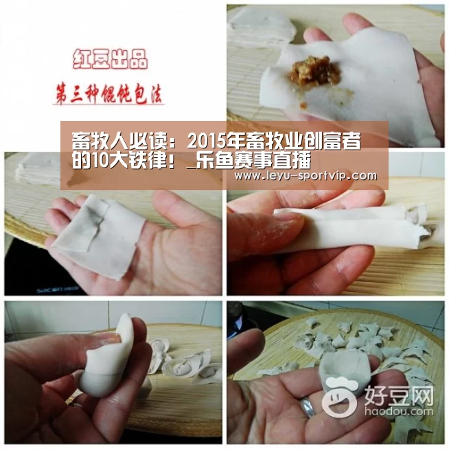 乐鱼赛事直播