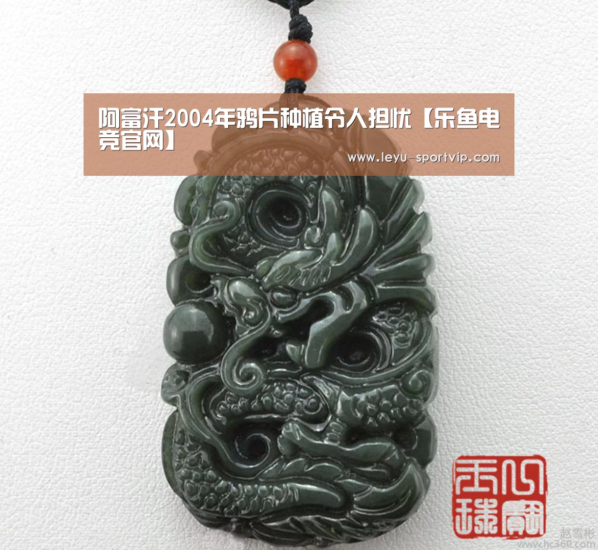 阿富汗2004年鸦片种植令人担忧【乐鱼电竞官网】