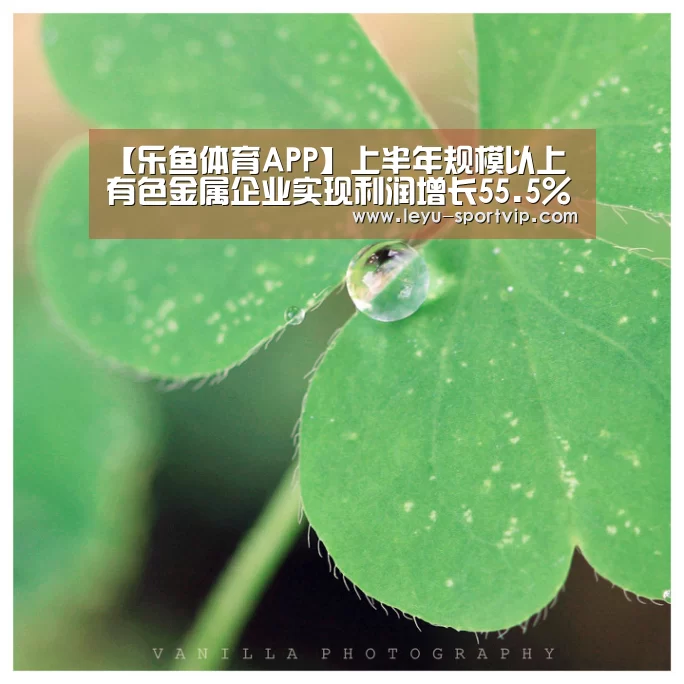 【乐鱼体育APP】上半年规模以上有色金属企业实现利润增长55.5%(图2) 乐鱼最新地址